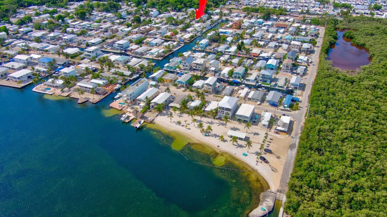 Aerial view of coastal neighborhood and beach with greenery