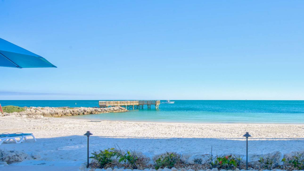 Sunny beach with clear blue sky and tranquil ocean view