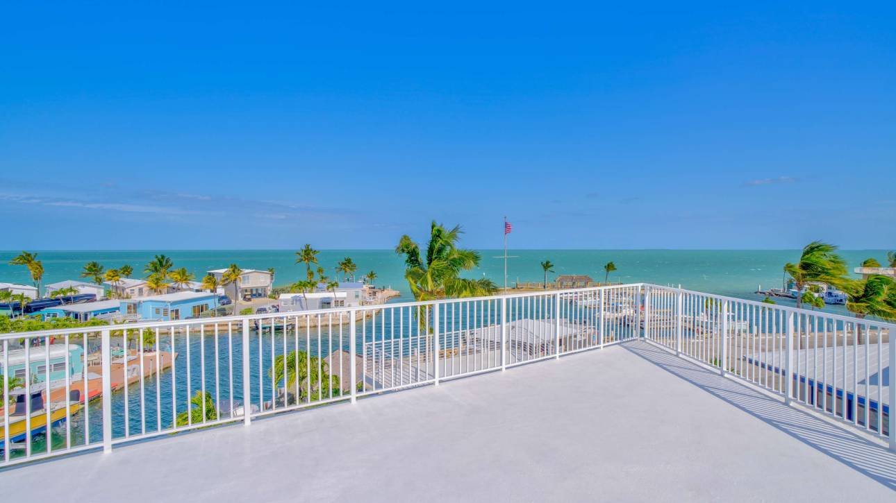 Rooftop overlooking ocean with clear blue sky and palm trees
